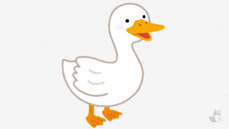 【悲報】アヒル「猫が餌食っとるなぁ…せや!w」