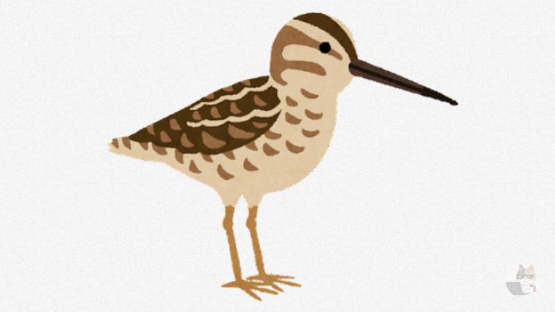 【動画】全裸で腰を振りながら車を止める謎の生き物が発見される