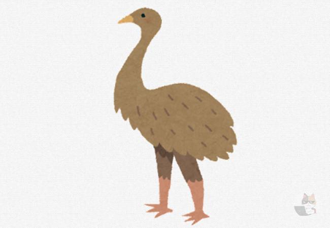 【画像】ニュージーランドの洞窟から謎の腕が発見されるwwwwwwwwwwwwwwwwwwwww