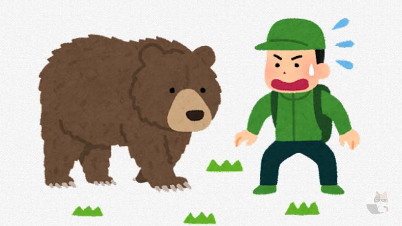 【動画】アラスカ人「熊来たな…」熊「人おるな…」