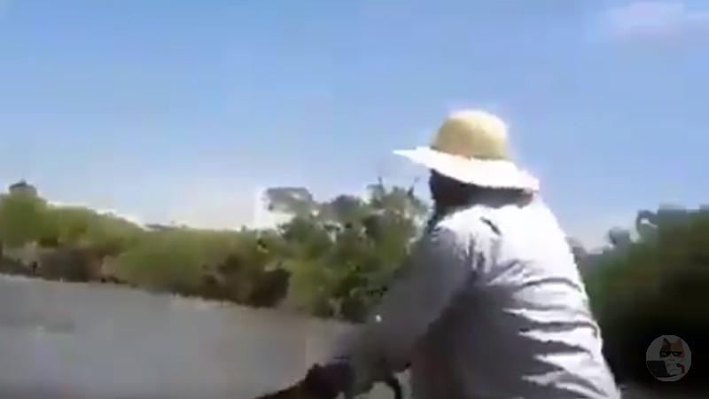 【動画】南米のアナコンダ、ガチでデカい お前らの想像の3倍はデカい