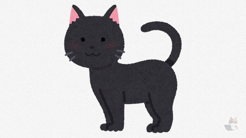 【画像】やっぱうちの猫が一番かわいい