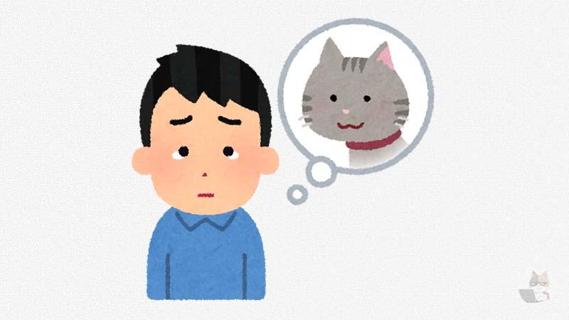 【超悲報】ワイん家の猫死亡