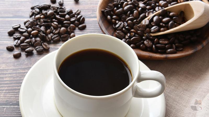 【悲報】ブルーボトルコーヒーさん 京都で3杯8000円の店を出してしまう…………