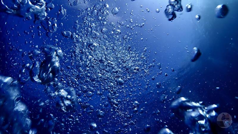 【画像】海洋恐怖症ってこういうの想像してるらしいなww