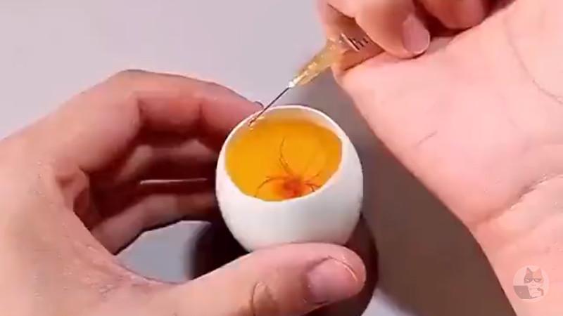 【動画・閲覧注意】生卵からひよこを育成する動画がヤバすぎるｗｗｗｗｗｗｗｗｗｗｗｗｗｗ