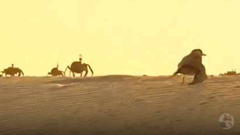 【閲覧注意・動画】【悲報】鳥さん、舐めプした結果捕食されてしまう