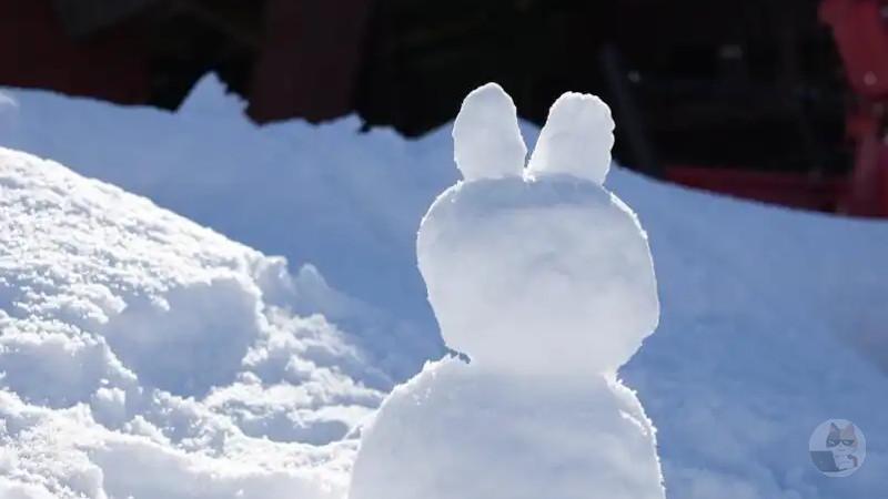 【画像】ワイカメラ屋なんだけど俺が撮ってきた写真たち晒すわ