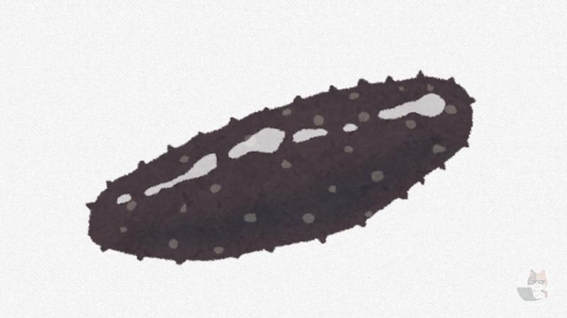 【画像】【悲報】日本人さん、とんでもない生物を食ってしまい海外にドン引きされる