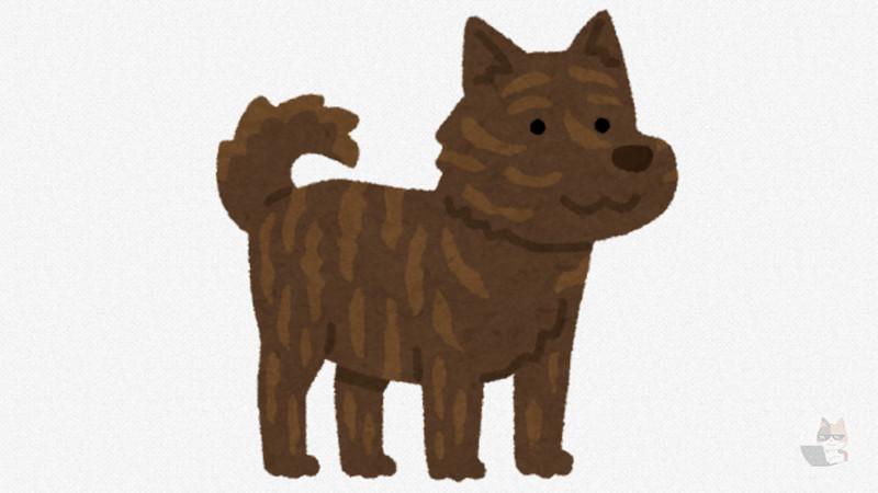 【動画】ワイ、散歩中に謎の野犬みたいなやつに遭遇してしまう…