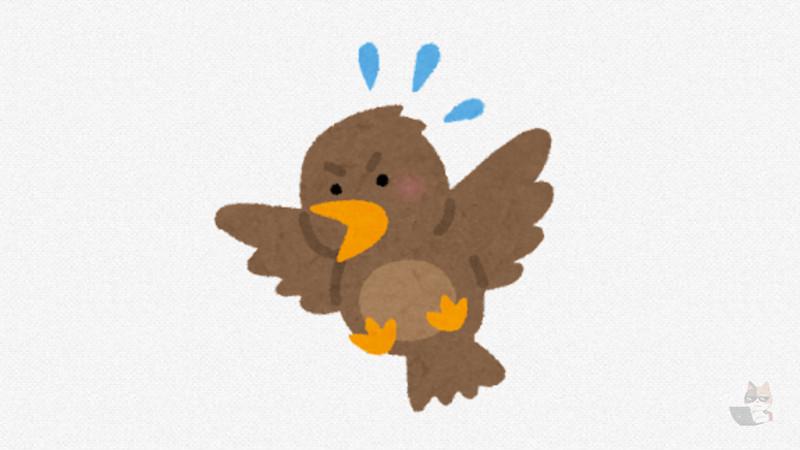 鳥って人生ハードモード過ぎない?