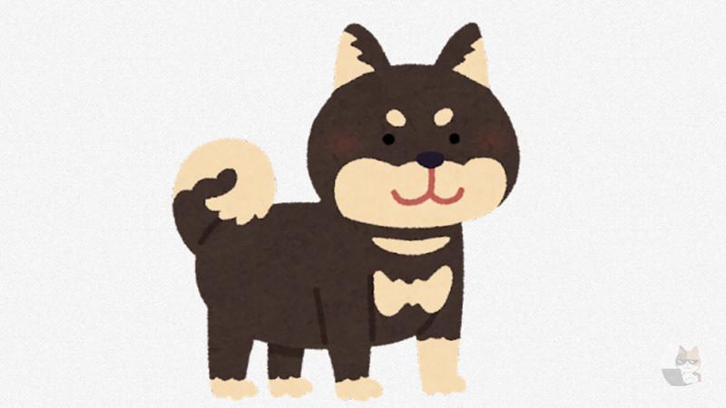 【画像】イッヌ「散歩帰りだけど足洗って貰ってない…とりあえず玄関で待っとこ」