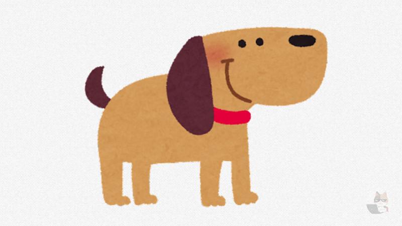 【画像】犬ってマジで陽キャだよな