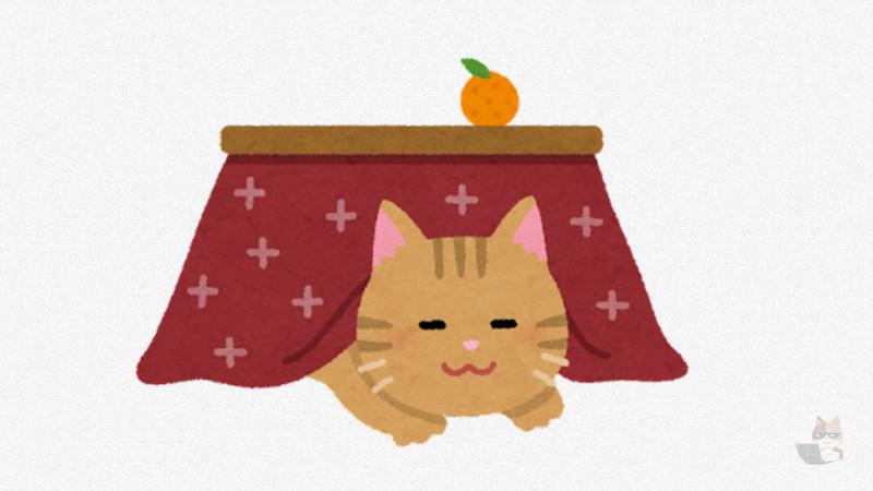 【悲報】猫、こたつを占拠