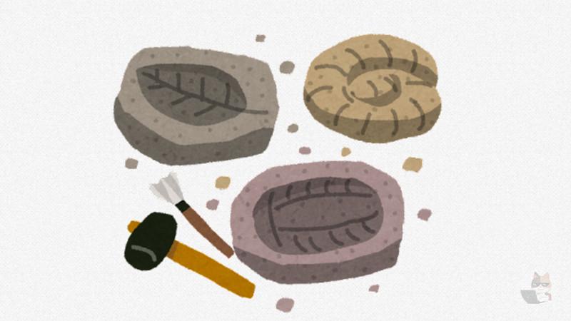 【速報】2億3000年前の地層から謎の化石、見つかるwwwwwwwwwwwwwwwwwwwwwwwwwwww