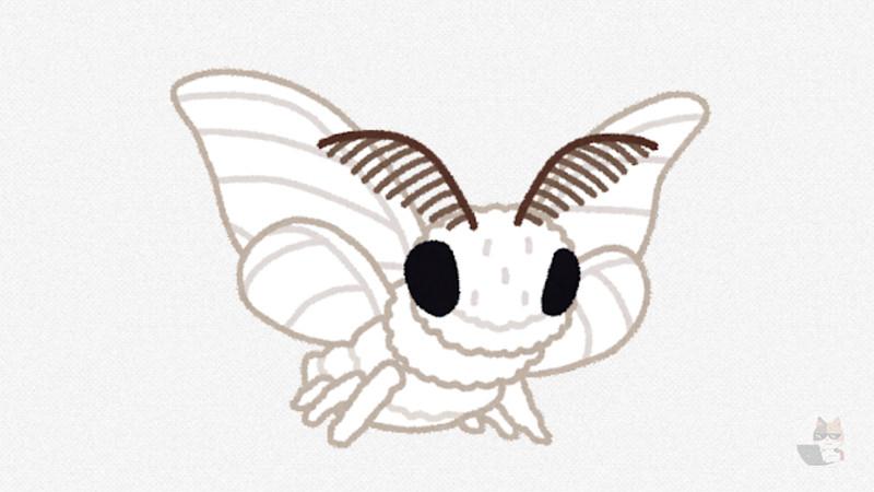 【画像・閲覧注意】【朗報】昆虫、かわいい