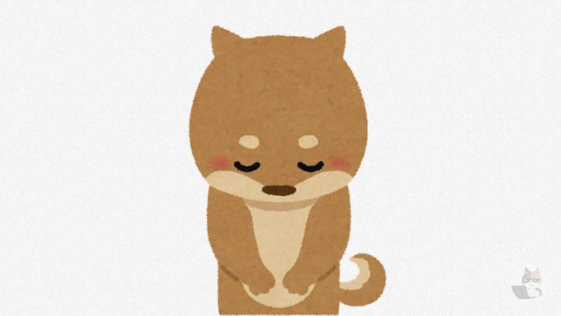 【gif】イッヌ、謝罪するwwwwwwwwwwwwwwwwwwwwwwwwwwwwwwwwwww