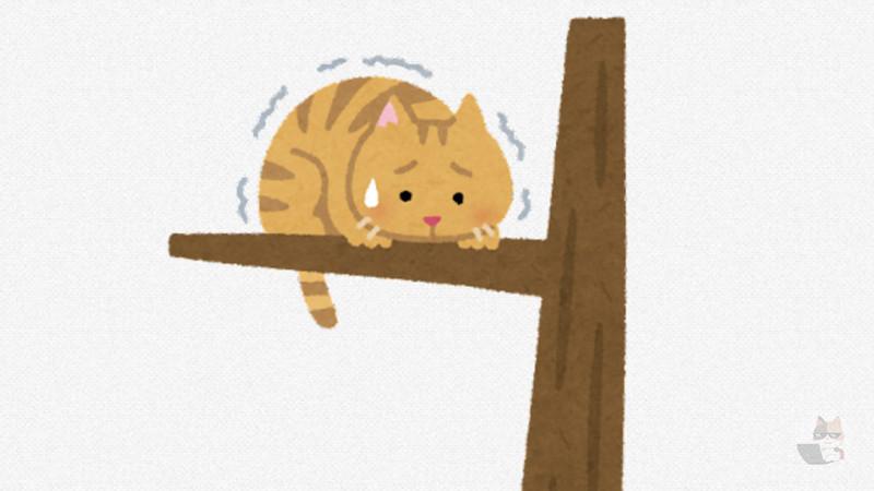 【画像】猫さん、爪が引っかかってしまい動けなくなる