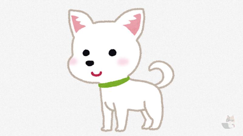 【画像】野生化したチワワ、何か違う