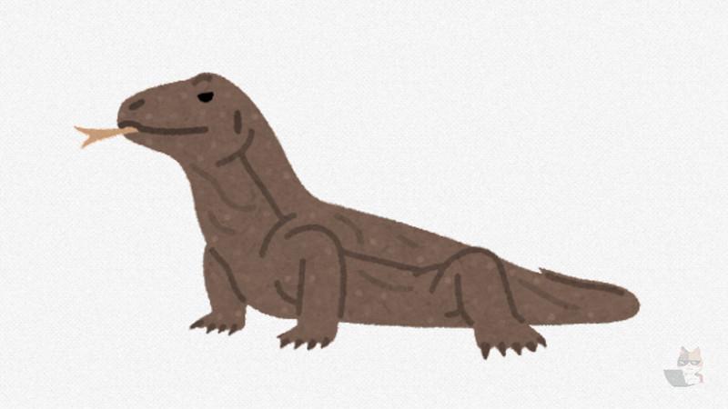 【動画】黒人、デカいワニをバトルさせて大盛りあがりwwwwww