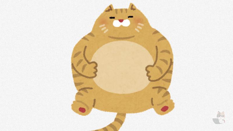 【画像】野良猫撮った