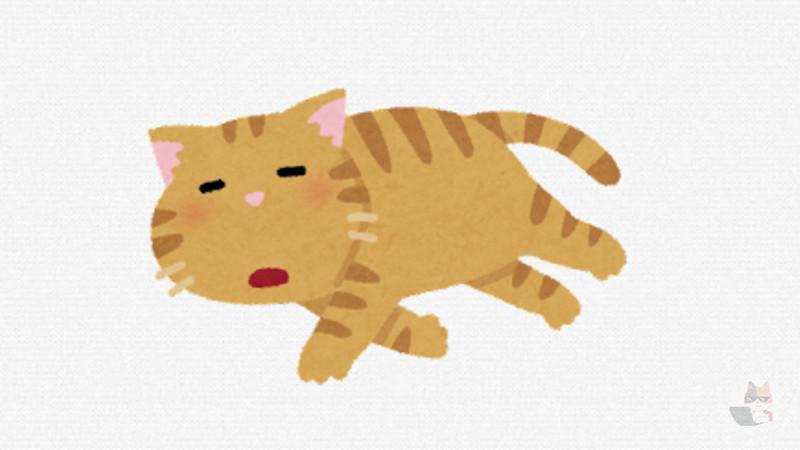 【動画】猫、野性を失うwwwwwwwwwwwwwwwwwwwwwwwwwwwwww