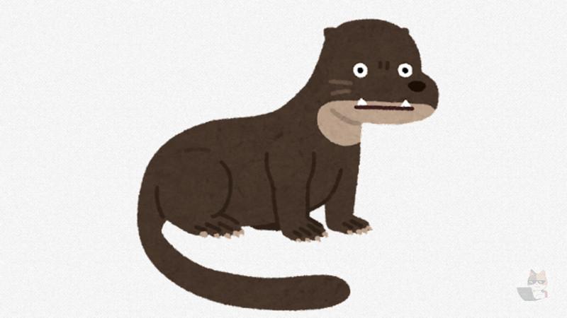 【画像・閲覧注意】カワウソって癒やされるね(´ω`*)