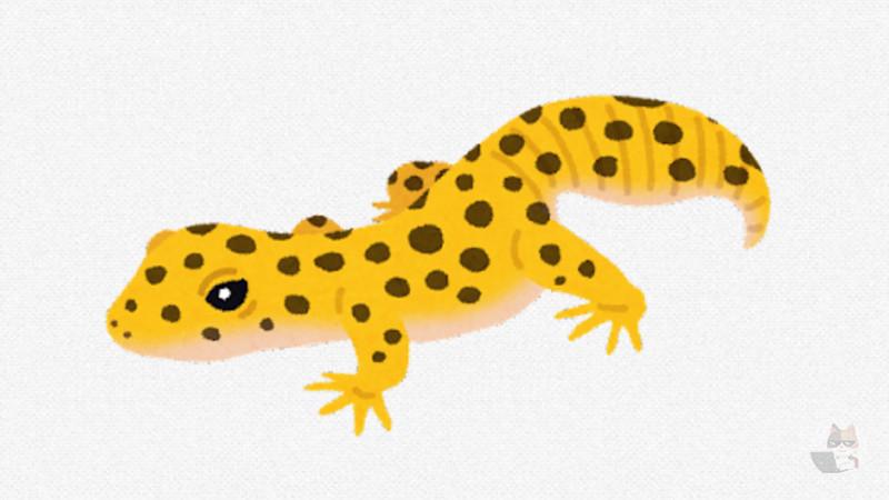 【画像】なんかうちのレオパが活発になったんやが