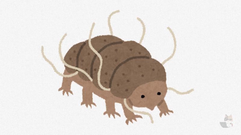 【画像・閲覧注意】【悲報】クマムシ明らかに地球内生命体では無いことが判明wwwwwwwwwwwwww