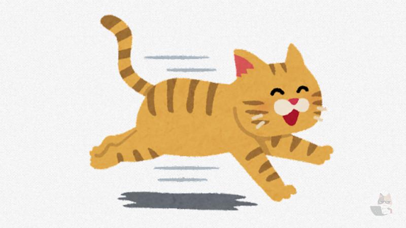 猫「急に飛び出して驚かせたろ…ww」
