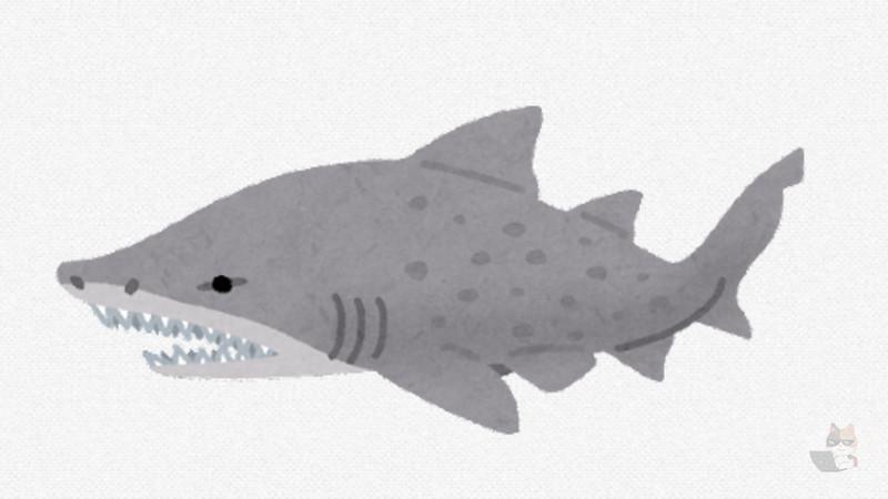 【恐怖画像】水族館にクソヤバいサメいたwwwwwwwwwwwwwwwwwwwwwwwwwwww