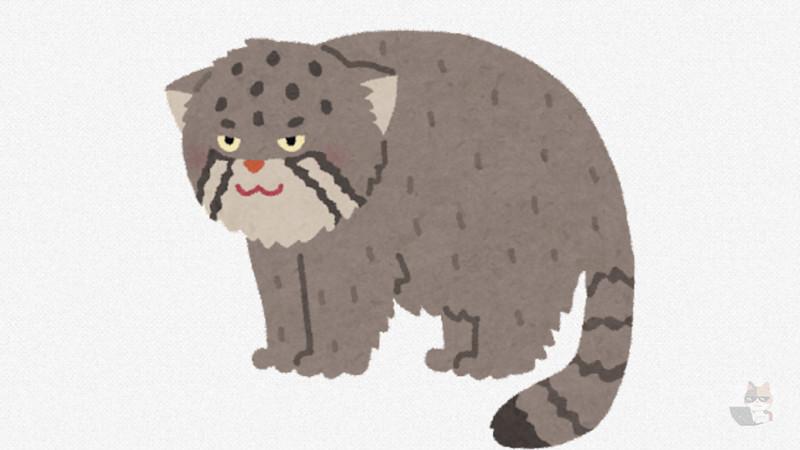 【画像】オラついたタヌキ