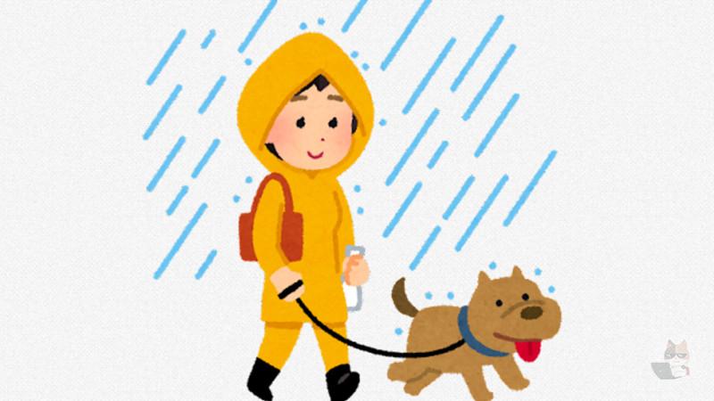 【悲報】イッヌ、雨の散歩を拒否