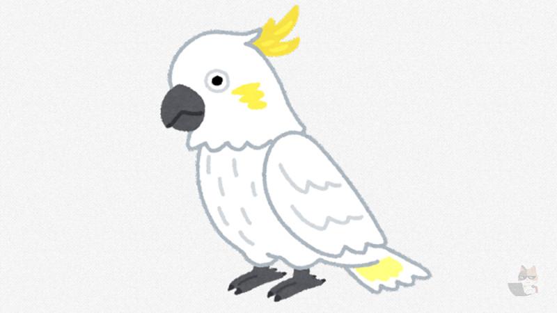 【悲報】なんj民、やっぱり鳥類だった