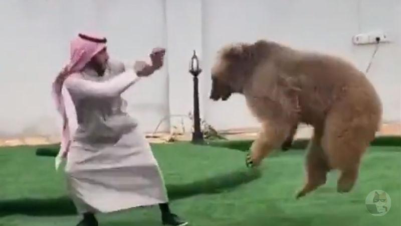 【動画】アラブの男性、熊に襲われてしまう・・・