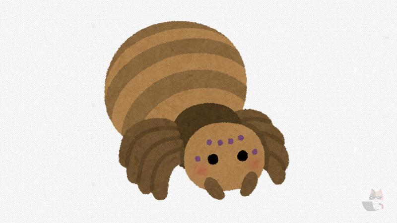 【閲覧注意・画像】希少な大型クモ発見される こんなん叫ぶわ