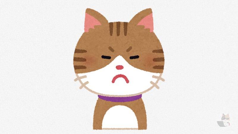 【gif】ネッコ、キレる…😾