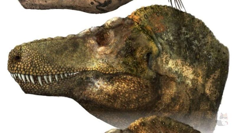 【画像】ティラノサウルさん、羽毛の次は唇があった可能性が浮上ｗｗｗｗｗｗｗｗｗｗｗｗｗｗｗｗｗｗｗ