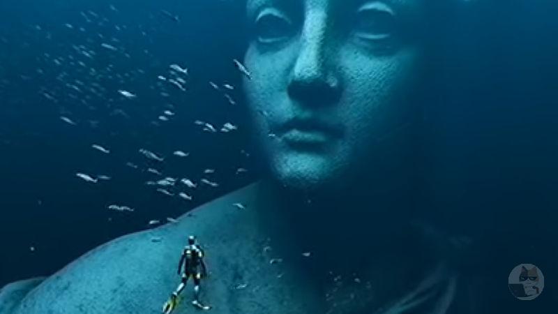 【動画】海洋恐怖症の人間に見せたら発狂する動画ｗｗｗｗｗｗｗｗｗｗｗｗｗｗｗｗｗｗｗｗｗｗｗｗｗｗｗｗｗ