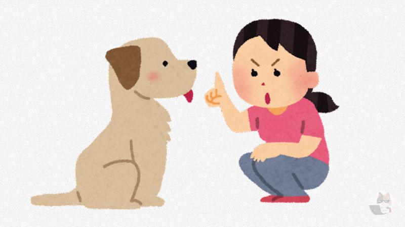 【動画】犬さん、飼い主の言うことを全然きかないw