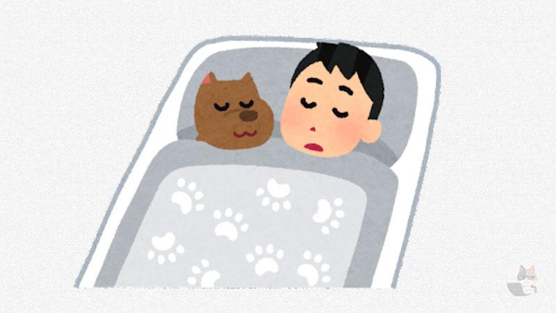 【画像】イッヌ、もう少し大きめのベッドを夢見る