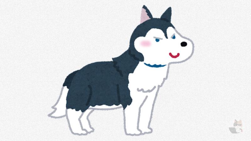 【画像あり】ハスキー犬ってヤバイ目つきしてるよね