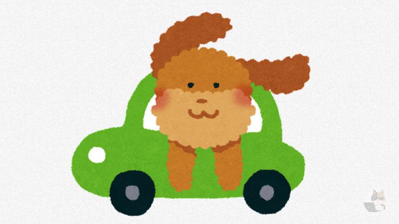 【画像】イッヌさん、楽しそうにドライブしてしまうwwwwwwwww