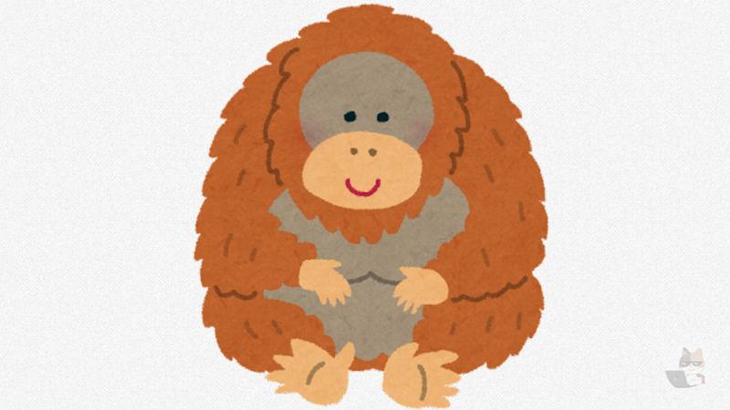 【動画】オランウータン、脳が破壊される