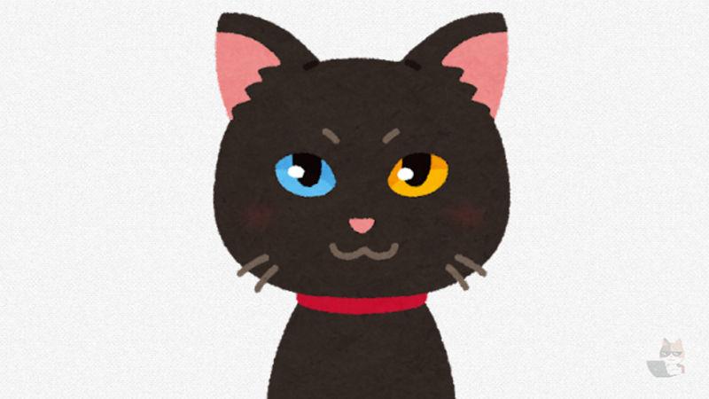 【画像】(っ´・ω・`c)猫拾った