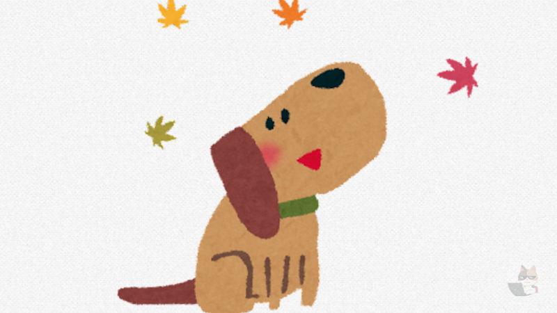 犬って普段何考えてるの?