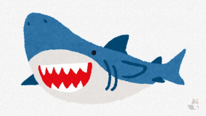 【動画】水族館のサメ🦈、完全に野生を失ってしまう…