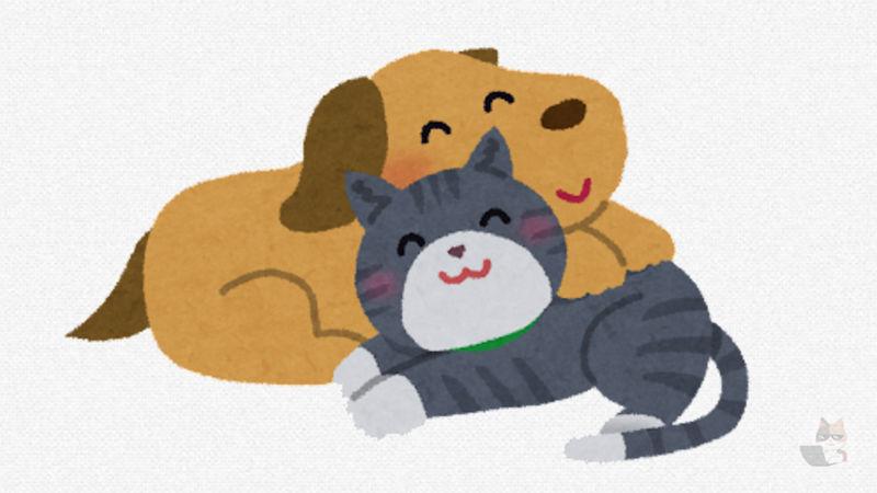 【画像】子ネッコ、イッヌをベッドにする😪