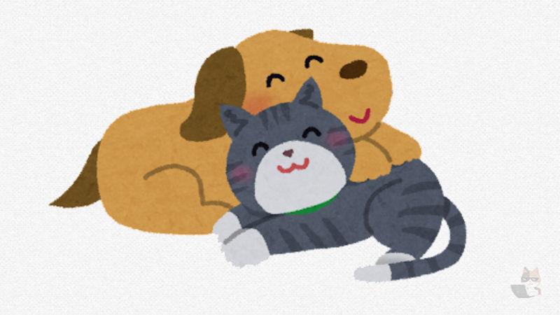 【動物画像】コレ可愛い