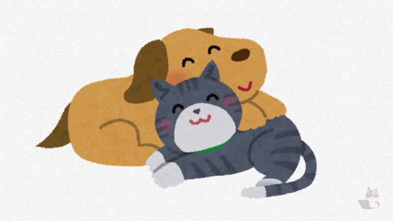 【画像】猫、ぬいぐるみに嫉妬する